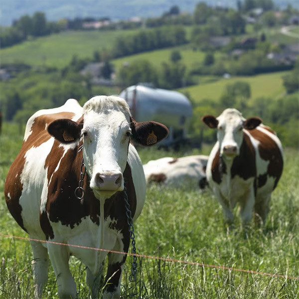 Podzimní práce v plném proudu